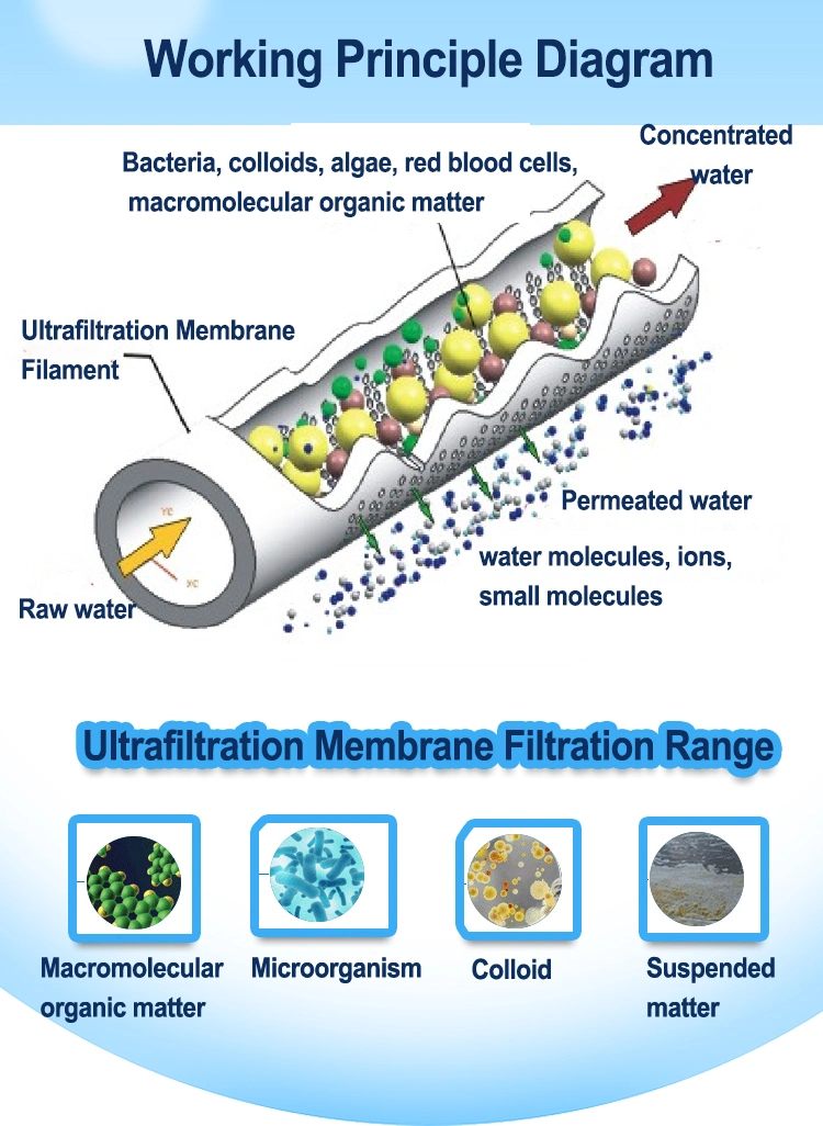 Ultrafiltration Water Treatment Plant 15tph UF Membrane System Ultra Filtration Filter