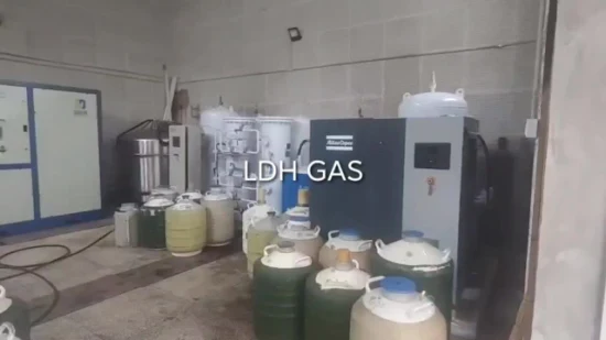 Ldh Small Industrial Biology Institute 20L Liquid Nitrogen Generator